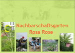 Rosa Rose Heft deutsch