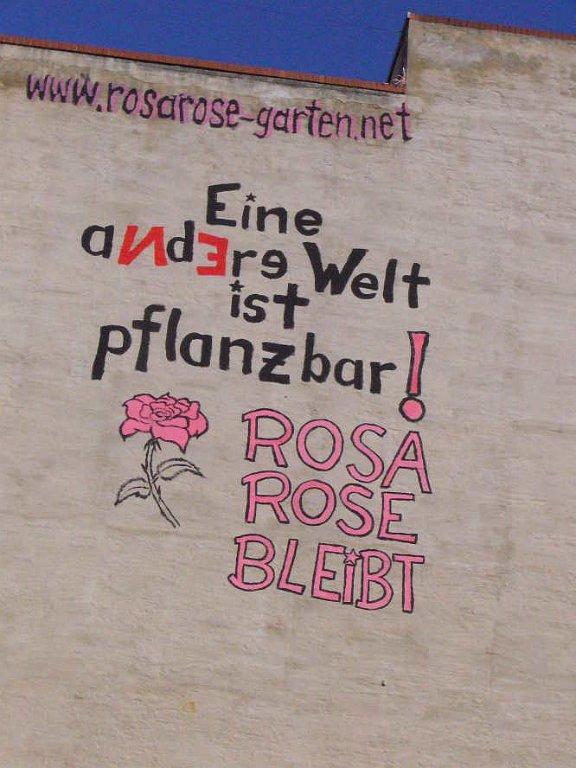 Rosa Rose Wandbilder
